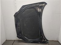  Капот Audi Q7 2005-2015 20456057 #2