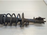  Амортизатор подвески Nissan Qashqai 2006-2013 20456063 #1