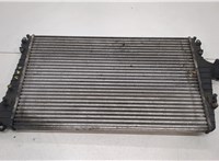  Радиатор интеркулера Audi A6 (C5) 1997-2005 20456115 #1