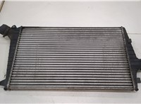  Радиатор интеркулера Audi A6 (C5) 1997-2005 20456115 #4