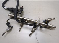  Форсунка топливная Hyundai Veloster 2011- 20456228 #1