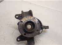  Ступица (кулак, цапфа) Renault Scenic 2003-2009 20456313 #1