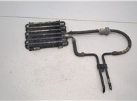  Радиатор масляный Mercedes C W203 2000-2007 20456338 #1