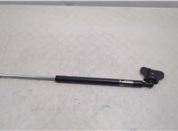 74145TA1305 Амортизатор капота Honda Accord 8 2008-2013 USA 20456376 #1
