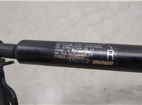 74145TA1305 Амортизатор капота Honda Accord 8 2008-2013 USA 20456376 #2