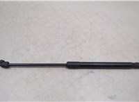 51237148346 Амортизатор капота BMW X6 E71 2007-2014 20456379 #1