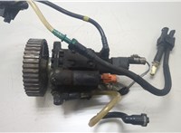 1920CG, 1921N4 ТНВД Citroen Berlingo 2002-2008 20456392 #1