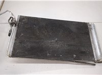  Радиатор кондиционера BMW 7 E65 2001-2008 20456504 #1