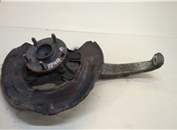  Ступица (кулак, цапфа) Lexus GS 2005-2012 20456533 #1