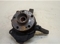  Ступица (кулак, цапфа) Renault Espace 4 2002- 20456575 #1