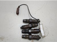  Форсунка топливная Citroen Berlingo 2002-2008 20456591 #1