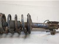  Амортизатор подвески Mitsubishi Pajero Pinin 20456905 #1
