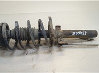  Амортизатор подвески Renault Scenic 2003-2009 20456982 #1