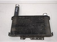  Радиатор интеркулера Mitsubishi Montero Sport / Pajero Sport 1996-2008 20457207 #1