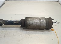  Амортизатор подвески Land Rover Range Rover Sport 2005-2013 20457249 #1