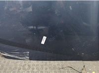  Капот Dacia Logan 2004-2012 20457404 #4