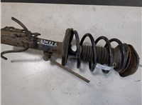 4851009A70 Амортизатор подвески Toyota Corolla E12 2001-2006 20457405 #4