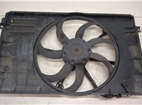  Вентилятор радиатора Skoda Octavia (A5) 2004-2013 20457516 #3