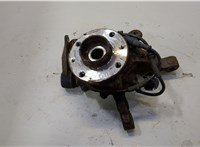  Ступица (кулак, цапфа) Renault Scenic 1996-2002 20457577 #1