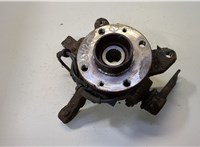  Ступица (кулак, цапфа) Renault Scenic 1996-2002 20457593 #1