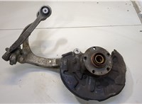  Ступица (кулак, цапфа) Audi A4 (B7) 2004-2009 20457639 #1