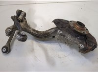  Ступица (кулак, цапфа) Audi A4 (B7) 2004-2009 20457645 #1