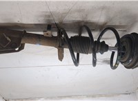  Амортизатор подвески Renault Laguna 2 2001-2007 20457983 #5