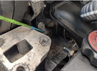  Насос гидроусилителя руля (ГУР) Peugeot 206 11425289 #9