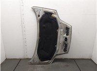  Капот Renault Scenic 1996-2002 20458136 #13