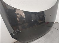  Капот Peugeot 307 20458219 #8