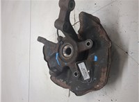 A1693300820, A1693370145 Ступица (кулак, цапфа) Mercedes B W245 2005-2012 20458245 #3