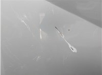  Капот Renault Scenic 1996-2002 20458247 #10
