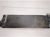  Радиатор интеркулера Renault Scenic 2003-2009 20458259 #1