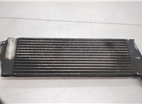  Радиатор интеркулера Renault Scenic 2003-2009 20458259 #2