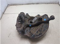 31206756256, 6756256, 31216761575, 6761575, 34116756901 Ступица (кулак, цапфа) BMW X5 E53 2000-2006 20458268 #3