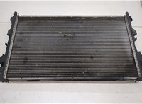  Радиатор охлаждения двигателя Renault Laguna 2 2001-2007 20458274 #4