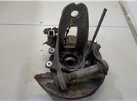  Ступица (кулак, цапфа) BMW X5 E53 2000-2006 20458366 #1