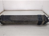  Радиатор интеркулера Renault Laguna 3 2007- 20458458 #3