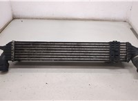  Радиатор интеркулера Renault Laguna 3 2007- 20458458 #4