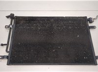  Радиатор кондиционера Audi A4 (B7) 2004-2009 20458601 #1