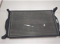  Радиатор охлаждения двигателя Audi A4 (B7) 2004-2009 20458607 #1