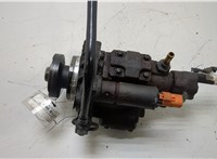 1543842, 2000989, 4M5Q9B395AF, RE4M5Q9B395AF ТНВД Ford Transit (Tourneo) Connect 2002-2013 20458650 #1