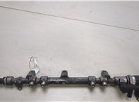  Рампа (рейка) топливная Hyundai Santa Fe 2005-2012 20458667 #1