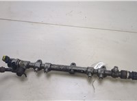  Рампа (рейка) топливная Hyundai Santa Fe 2005-2012 20458667 #4