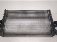  Радиатор интеркулера Ford Galaxy 2000-2006 20458783 #1