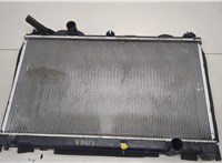  Радиатор охлаждения двигателя Lexus GS 2005-2012 20458861 #1