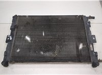  Радиатор охлаждения двигателя Renault Scenic 2003-2009 20458869 #3