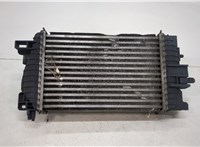 Радиатор интеркулера Opel Meriva 2010- 20459153 #3