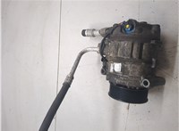  Компрессор кондиционера Mercedes ML W164 2005-2011 20459173 #1