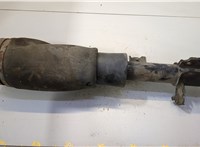  Амортизатор подвески Land Rover Range Rover 3 (LM) 2002-2012 20459179 #1